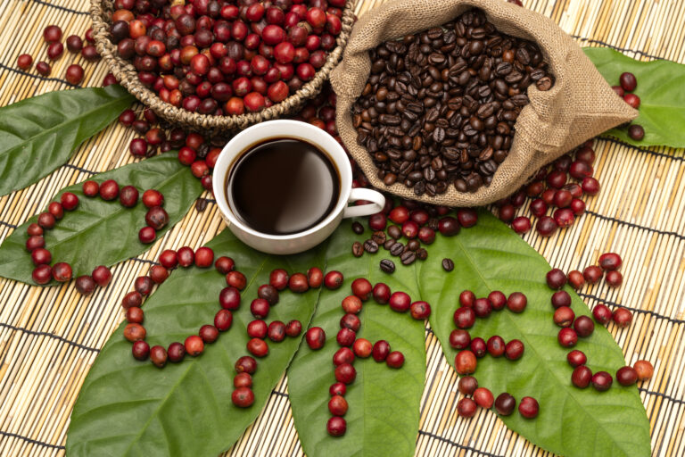 Arabika kontra Robusta: Kluczowe różnice, które warto znać