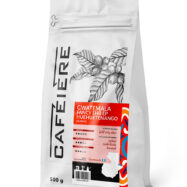 cafeiere gwatemala fancy shb ep huehuetenango