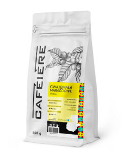 cafeiere gwatemala maragogype
