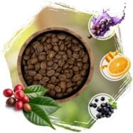 Kawa cafeiere profil smakowy