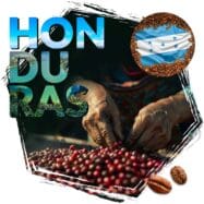 kawa ziarnista Cafeiere kraj pochodzenia