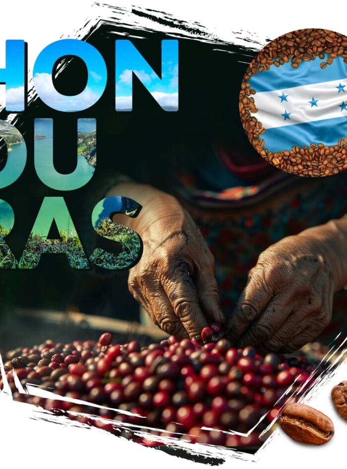 kawa ziarnista Cafeiere kraj pochodzenia