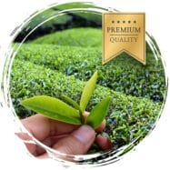 18da6d42d9cb38a28c9deb5c43d8ea65