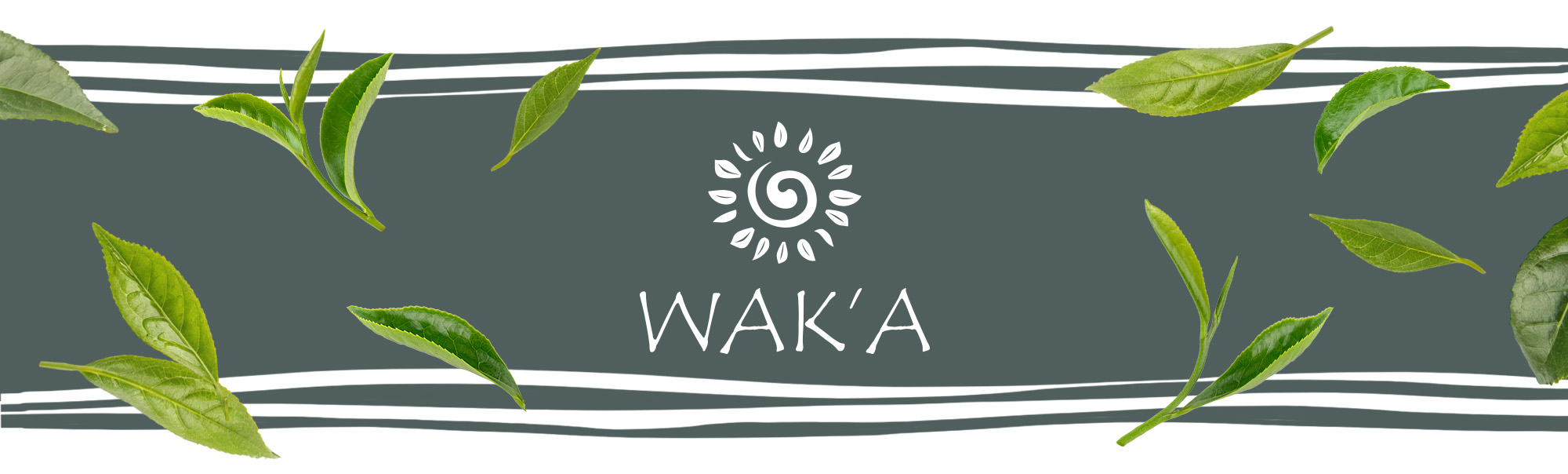 4ca6b0459ceeb053dcb4d11e8fade5ee.jpg c6873e0aad30382498a99a349691869d