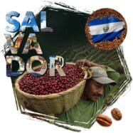 kawa ziarnista Cafeiere kraj pochodzenia