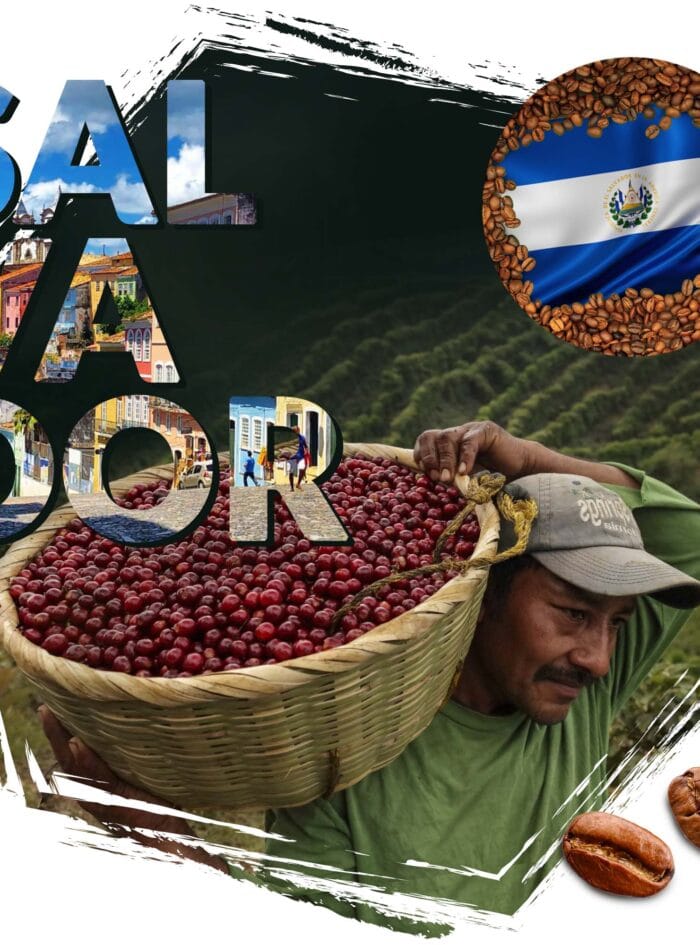 kawa ziarnista Cafeiere kraj pochodzenia