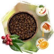 Kawa cafeiere profil smakowy