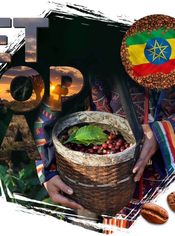 kawa ziarnista Cafeiere kraj pochodzenia