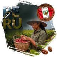 kawa ziarnista Cafeiere kraj pochodzenia