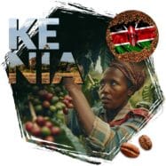 kawa ziarnista Cafeiere kraj pochodzenia