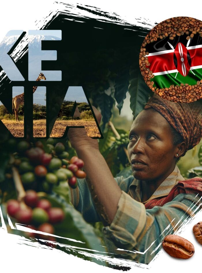 kawa ziarnista Cafeiere kraj pochodzenia