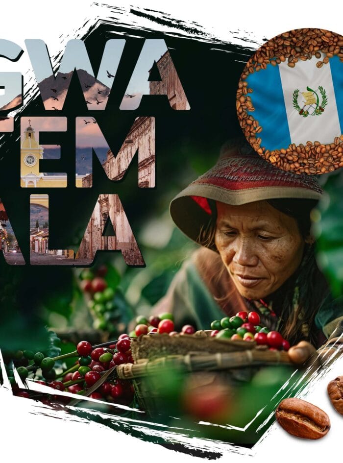 kawa ziarnista Cafeiere kraj pochodzenia