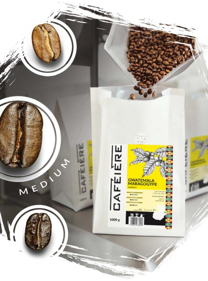 cafeiere Guatemala maragogype stopień palenia kawy średni