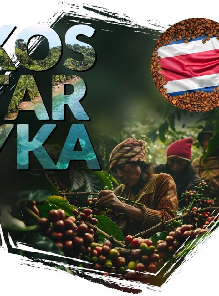 kawa ziarnista Cafeiere kraj pochodzenia