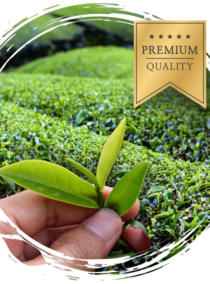 98f6994fcf645aba50f029fb3ac87c0e.jpg 18da6d42d9cb38a28c9deb5c43d8ea65