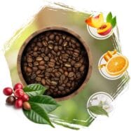 Kawa cafeiere profil smakowy