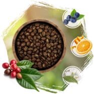 Kawa cafeiere profil smakowy