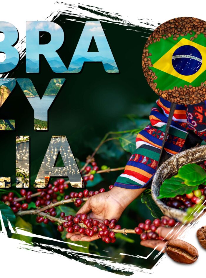 kawa ziarnista Cafeiere kraj pochodzenia .jpg kawa ziarnista Cafeiere kraj pochodzenia