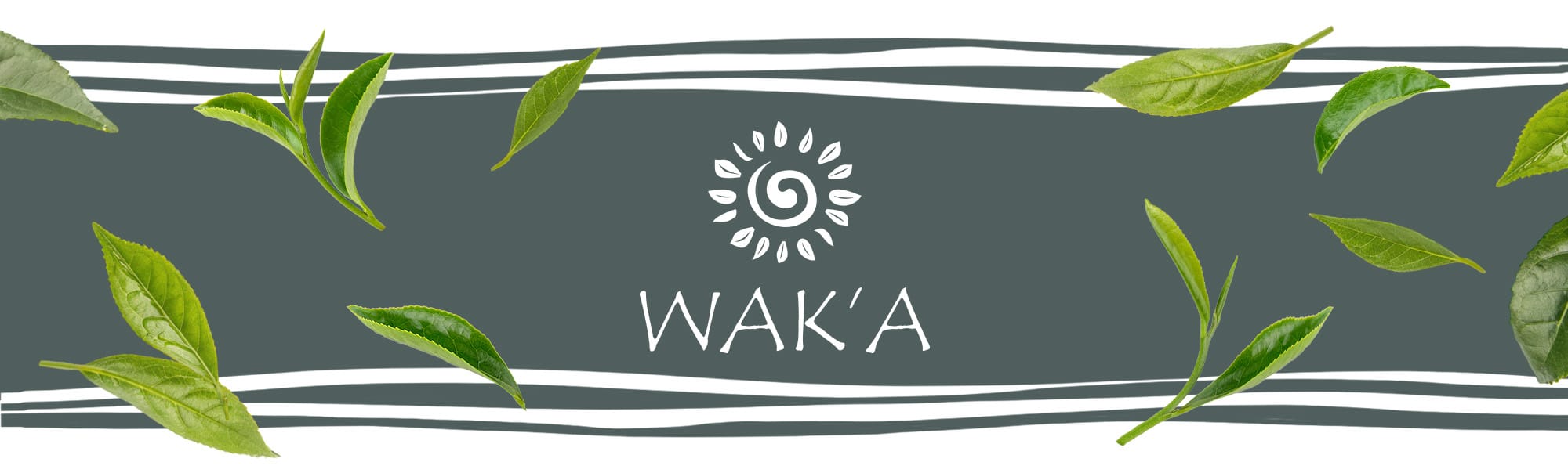 f15dd357e0b96e6a3d50aa6be18f59c3.jpg c6873e0aad30382498a99a349691869d