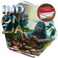 kawa ziarnista Cafeiere kraj pochodzenia