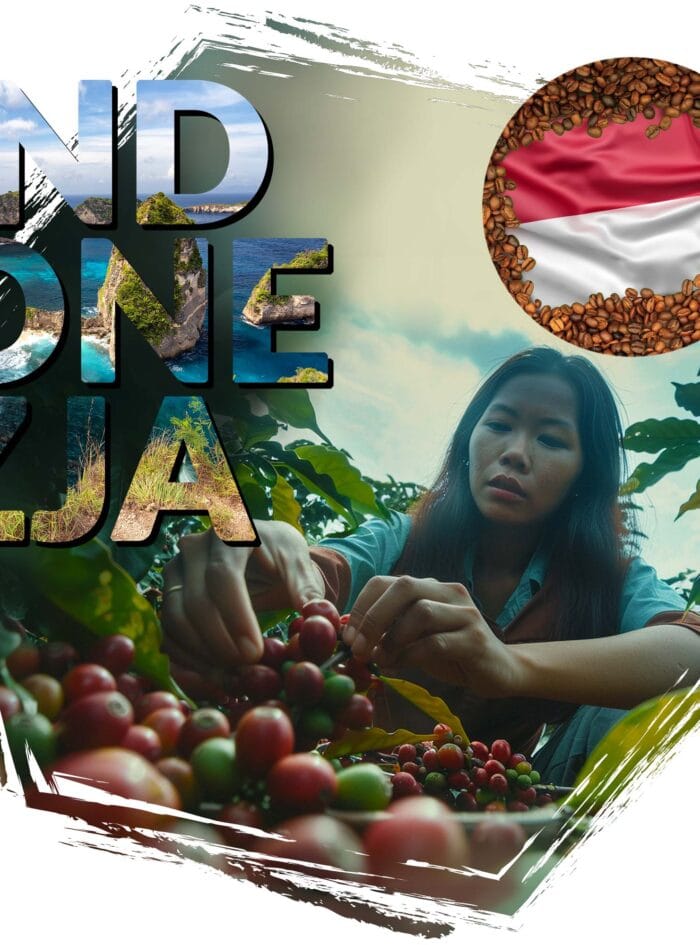 kawa ziarnista Cafeiere kraj pochodzenia